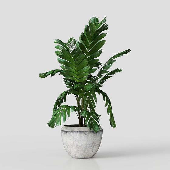 Tropical Potted Plant 3D Model for Design Projects