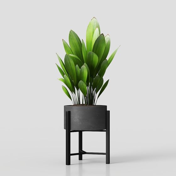 Urban Oasis Potted Plant 3D model for Modern Interiors