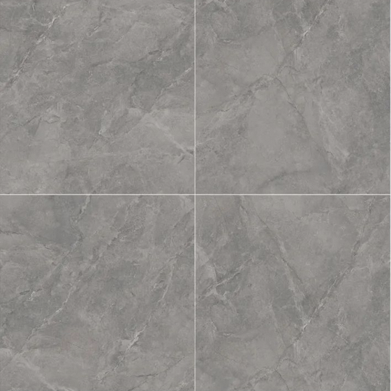 Modern Gray Floor Tile 3D Model