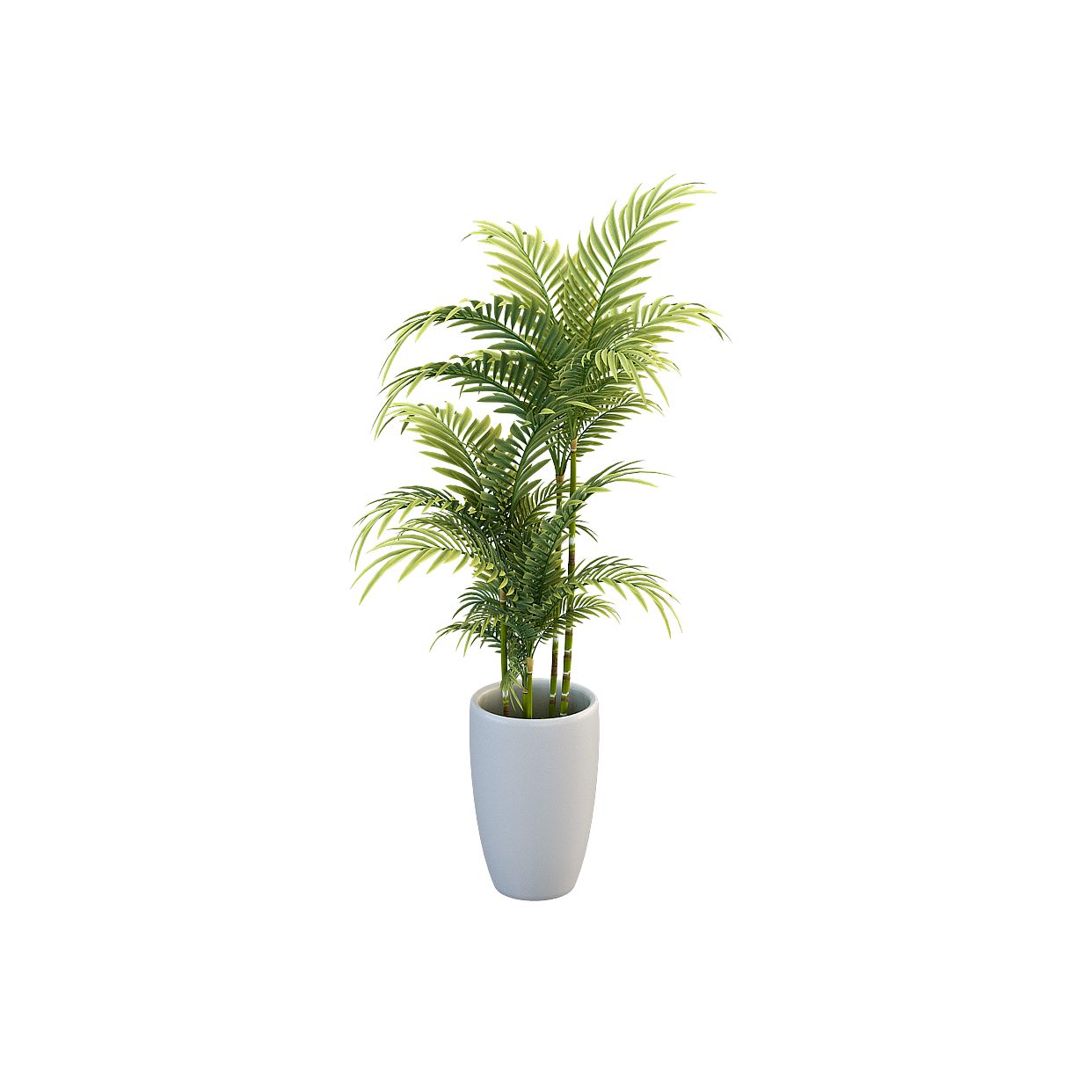 Low Polygon Indoor Plant 3D Model – Modern Potted Design