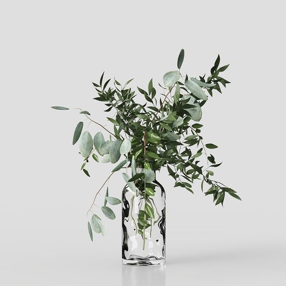 Glass Vase with Eucalyptus Branch 3D model