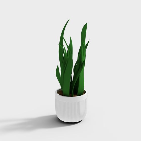 Stylish Indoor Green Plant 3D model