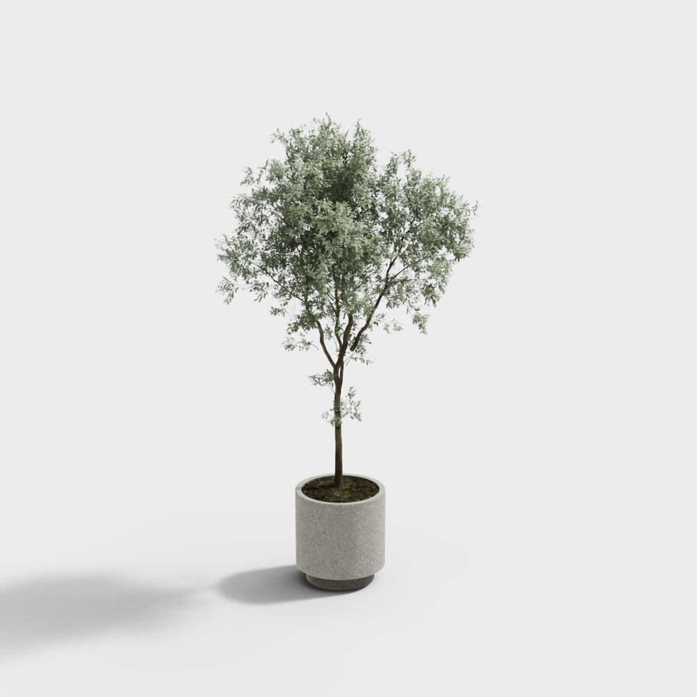 กระถางต้นไม้