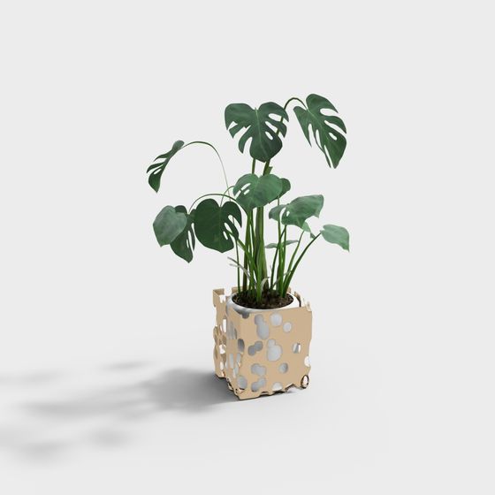 Monstera Plant with Perforated Pot 3D model for Creative Spaces