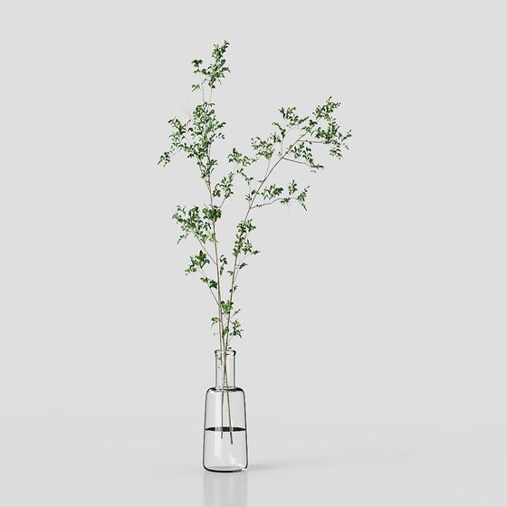 Vibrant Green Plant in Glass Vase 3D model