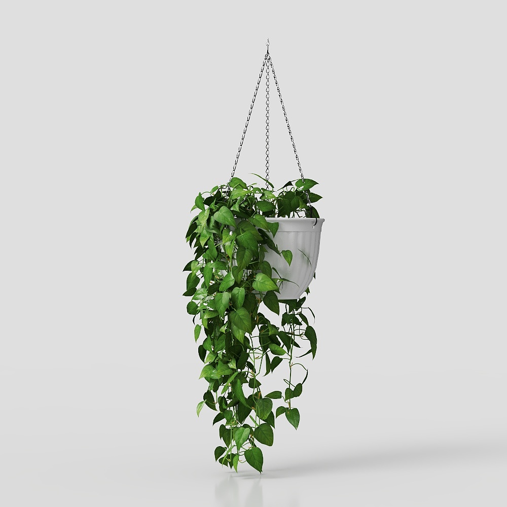 Plant wall decoration