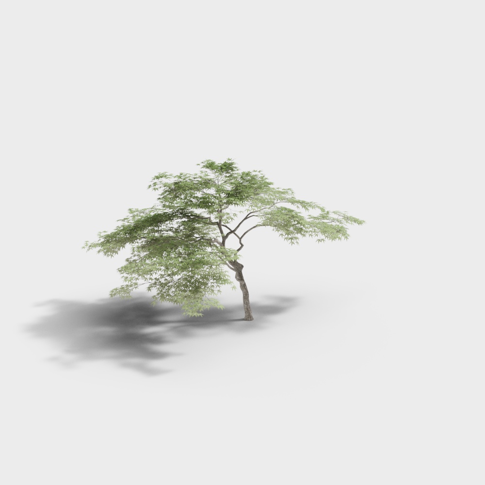 Vibrant Low-Poly 3D Tree Model