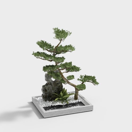 Boceto de paisaje de jardín Zen chino-Boceto de pino