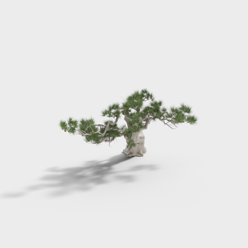 New Chinese style landscape garden courtyard-pine tree