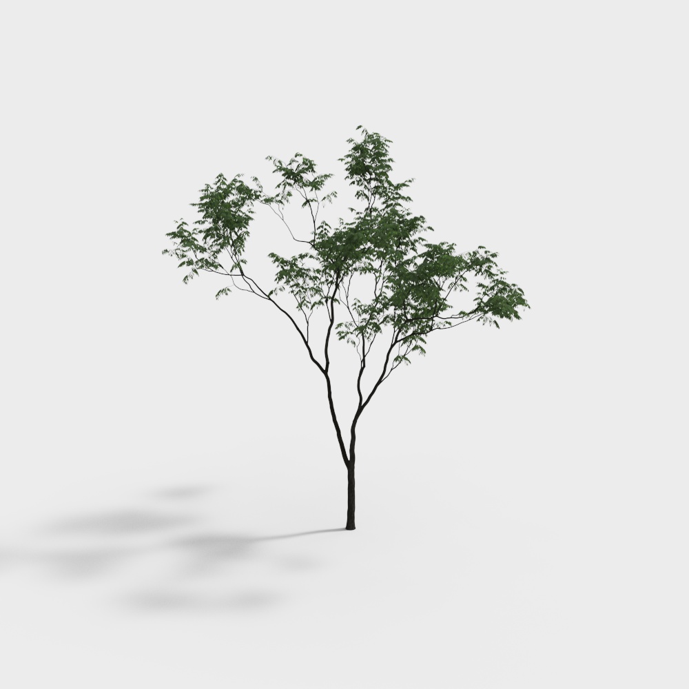 Modern outdoor landscape tree-2