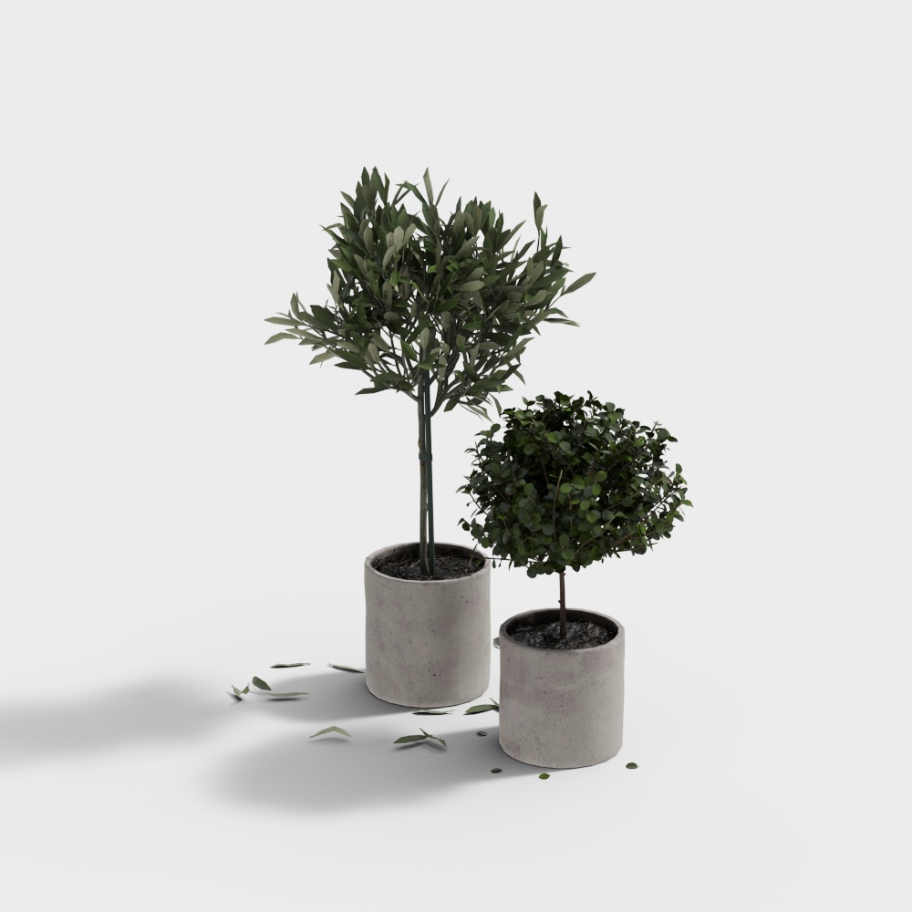 Bộ phụ kiện rửa nhà tắm hiện đại - tổ hợp cây