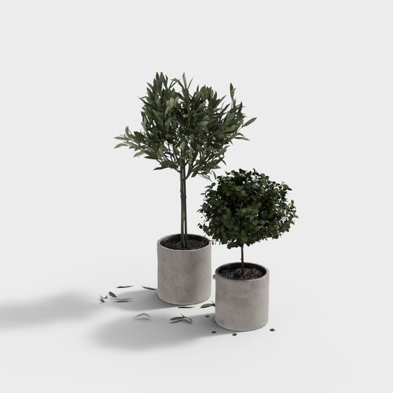 Bộ phụ kiện rửa nhà tắm hiện đại - tổ hợp cây