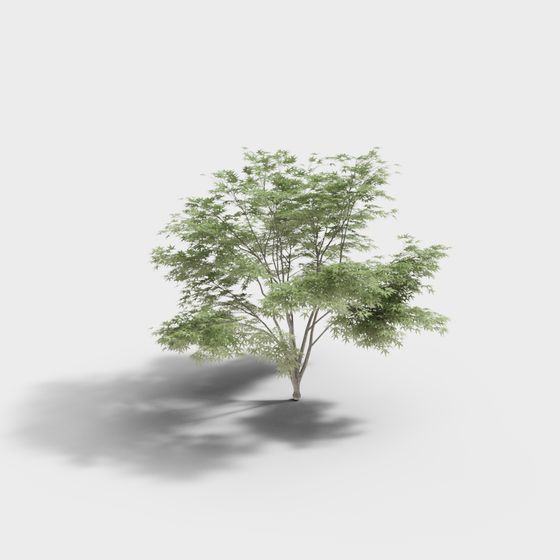 Green Abundance Tree 3D model for Creative Projects