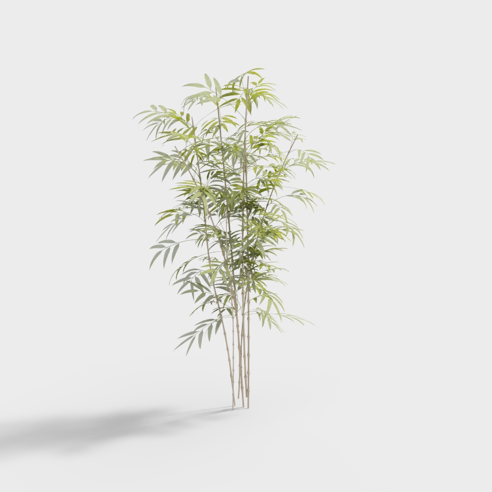 Esquisse d'aménagement paysager du jardin chinois moderne-Paysage du bambou