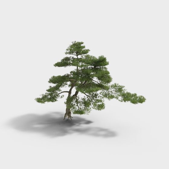 Low Poly Pine Tree 3D model