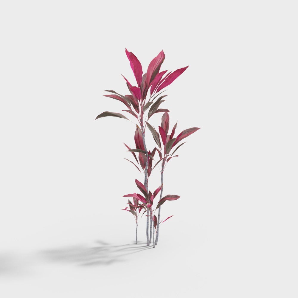 Piantina da esterno-7 Fiori rossi