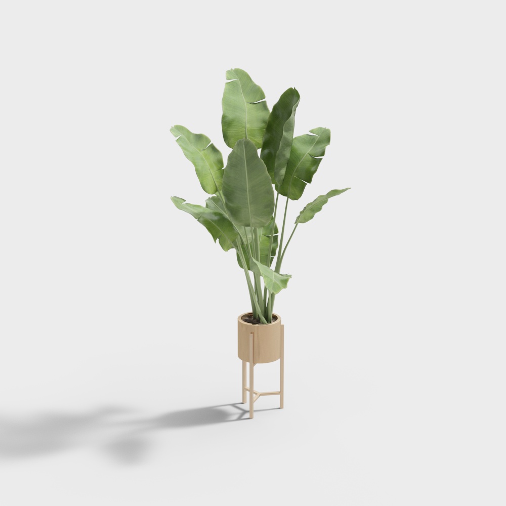 plantes vertes modernes