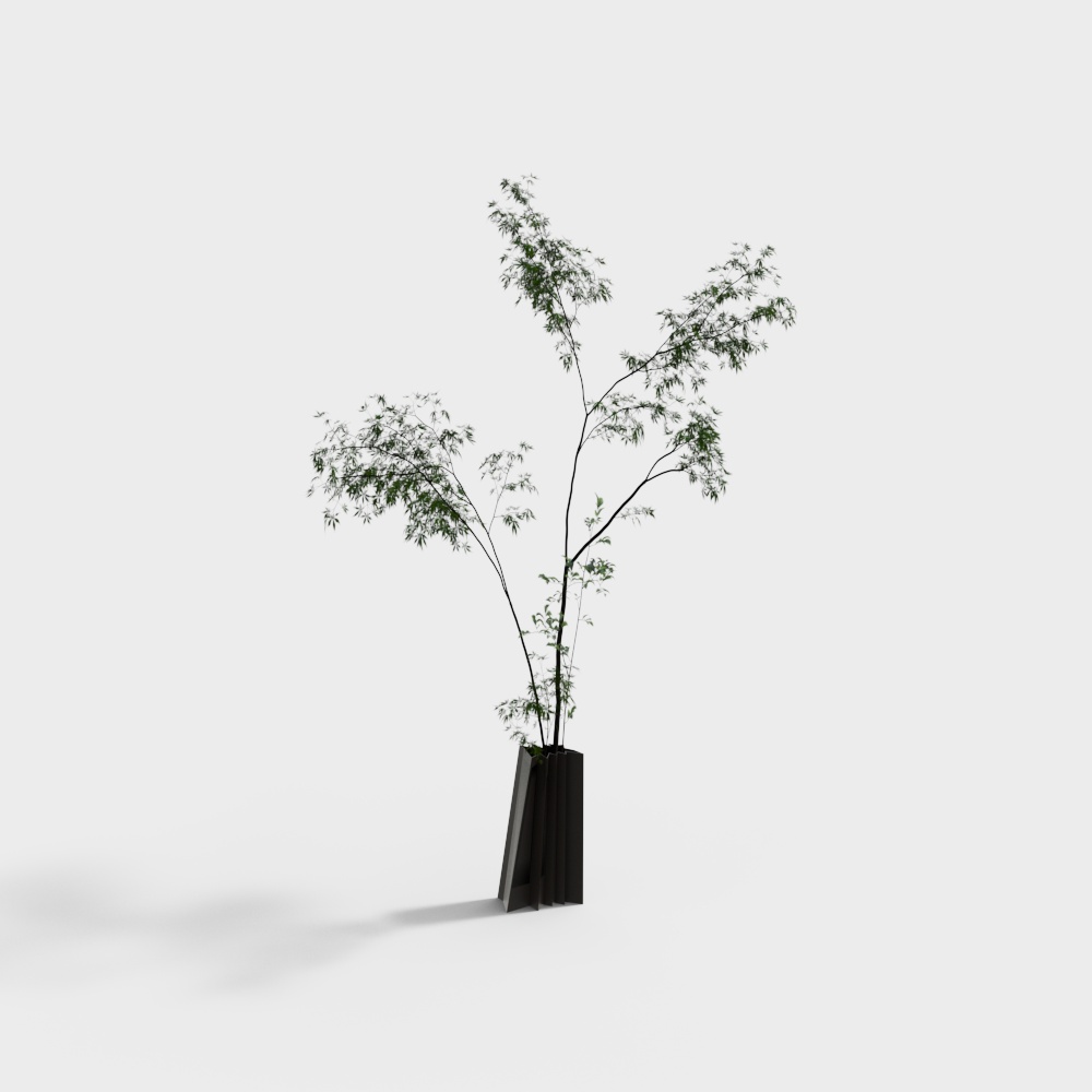 Cây xanh hiện đại