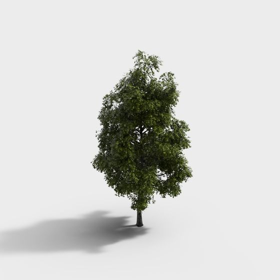 Realistic 3D Oak Tree Model