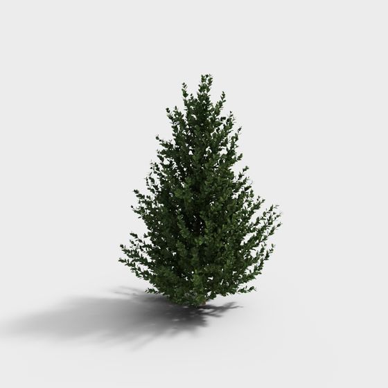 Lush Green Bush 3D model