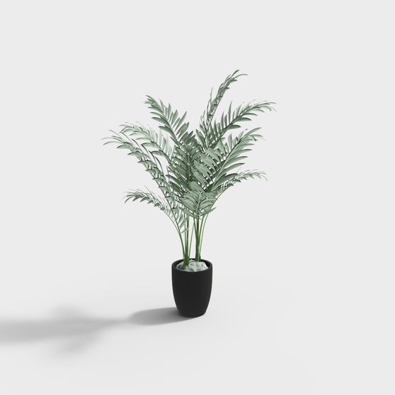 Realistic Indoor Plant 3D Model