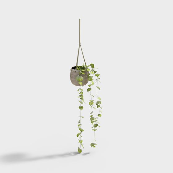 Hanging Plant 3D Model: A Perfect Blend of Nature and Modernity
