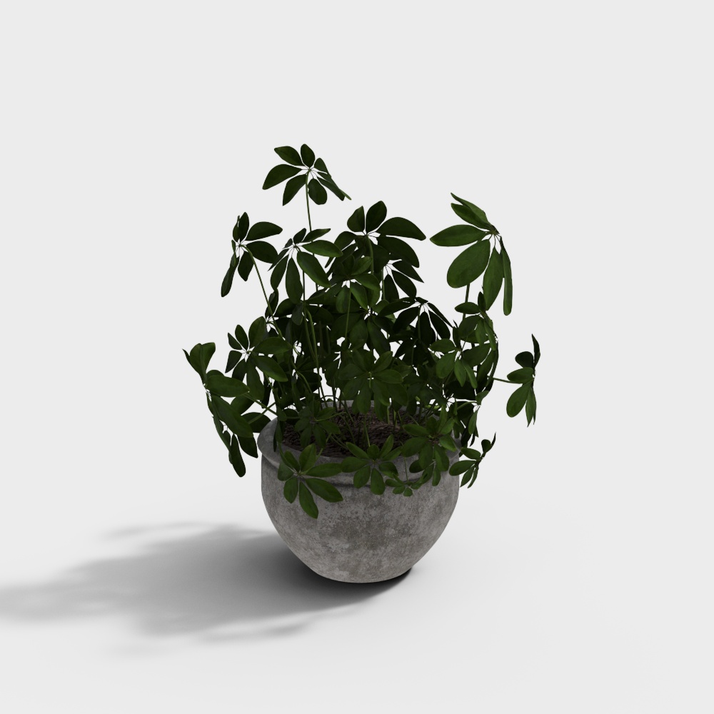 Urban Oasis Low Poly Plant Pot 3D Model