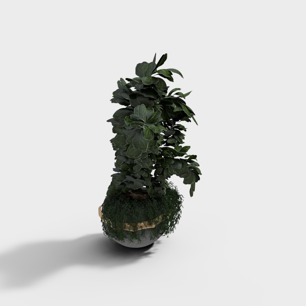 Modern green potted plants - green leaves