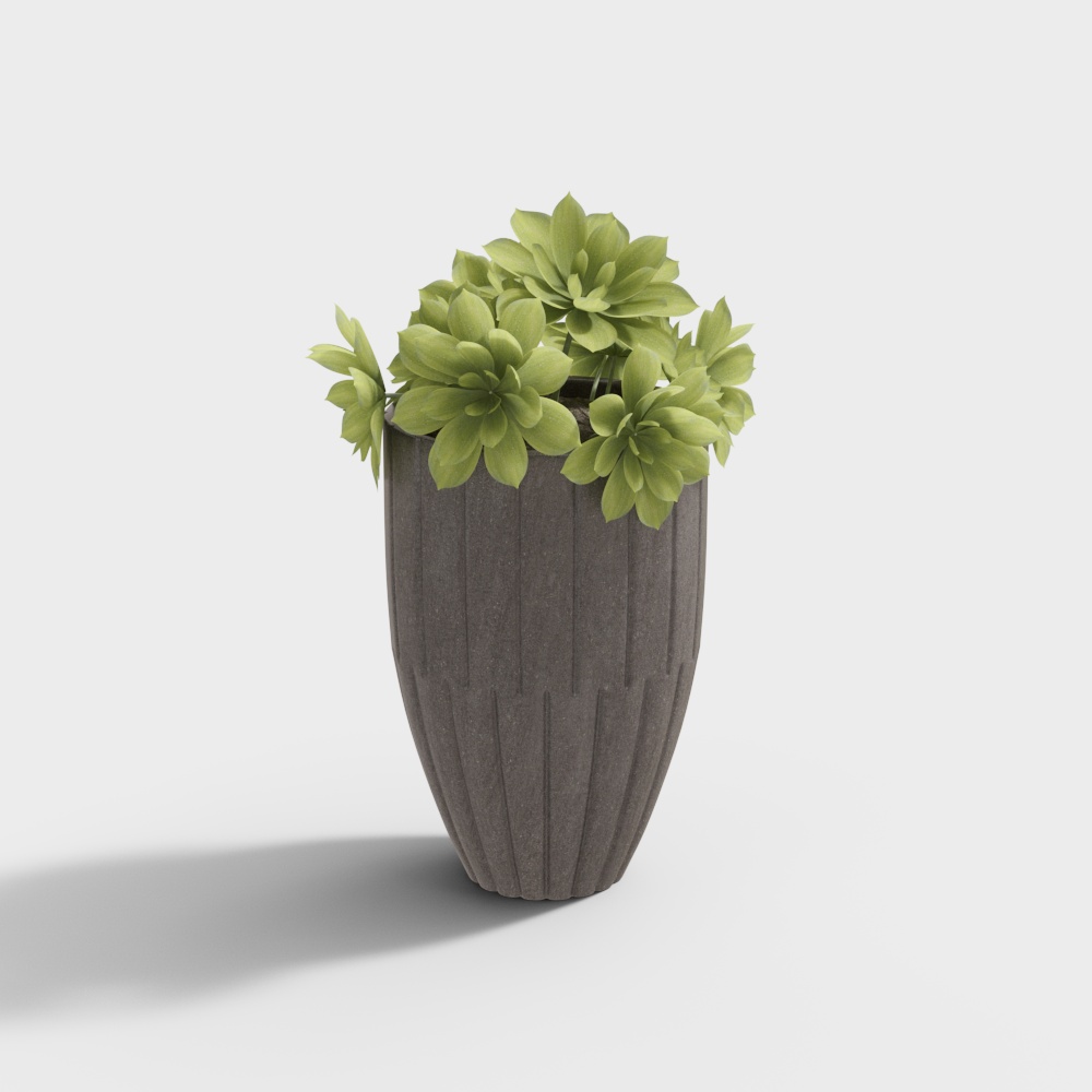 balcony plant potted green plant combination 176806-8