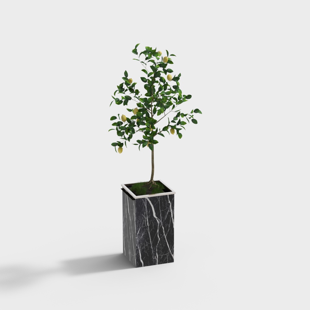 Indoor Lemon Tree 3D Model for Natural Aesthetics