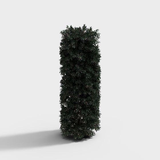 Lifelike Tall Shrub 3D Model