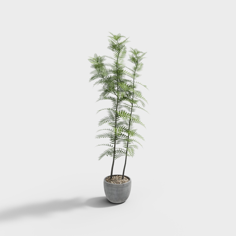Realistic Fern Plant in Pot 3D model