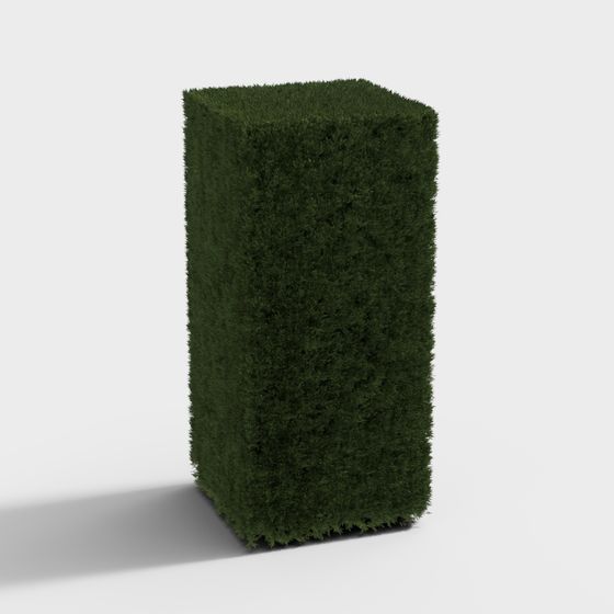 Cespugli verdi moderni - Cespugli