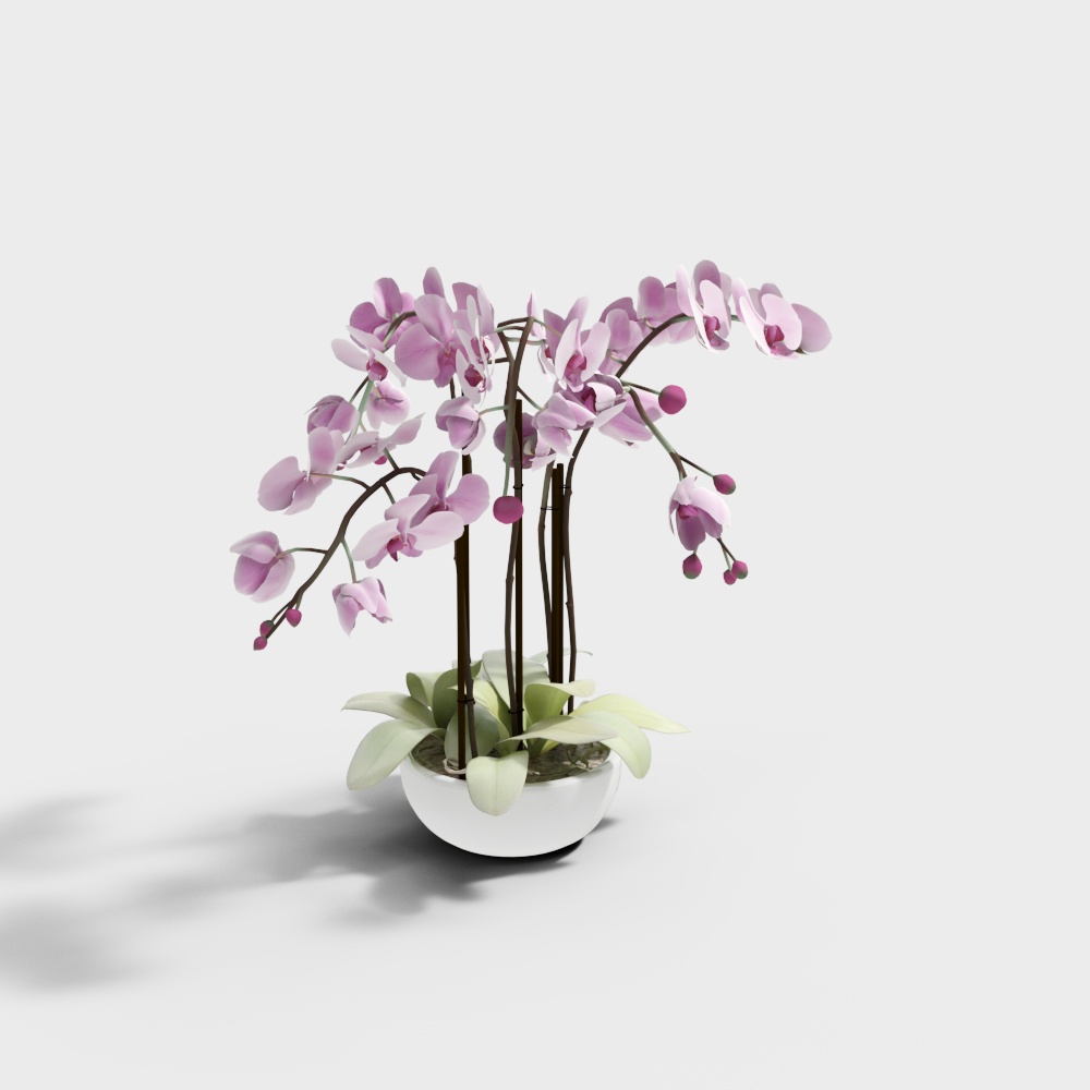 Salle de bal chinoise - ornement de plante-4 fleurs roses vase blanc