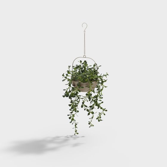 Realistic Hanging Plant 3D model for Creative Projects