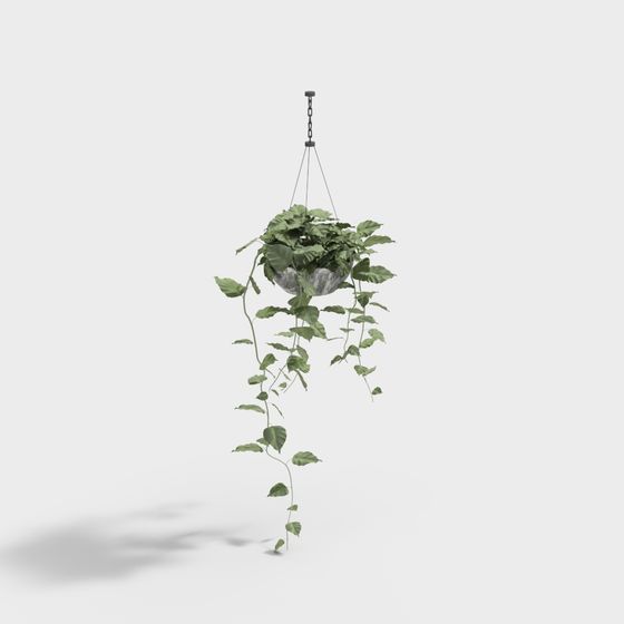 Suspended Green Plant 3D Model Bringing Nature Indoors