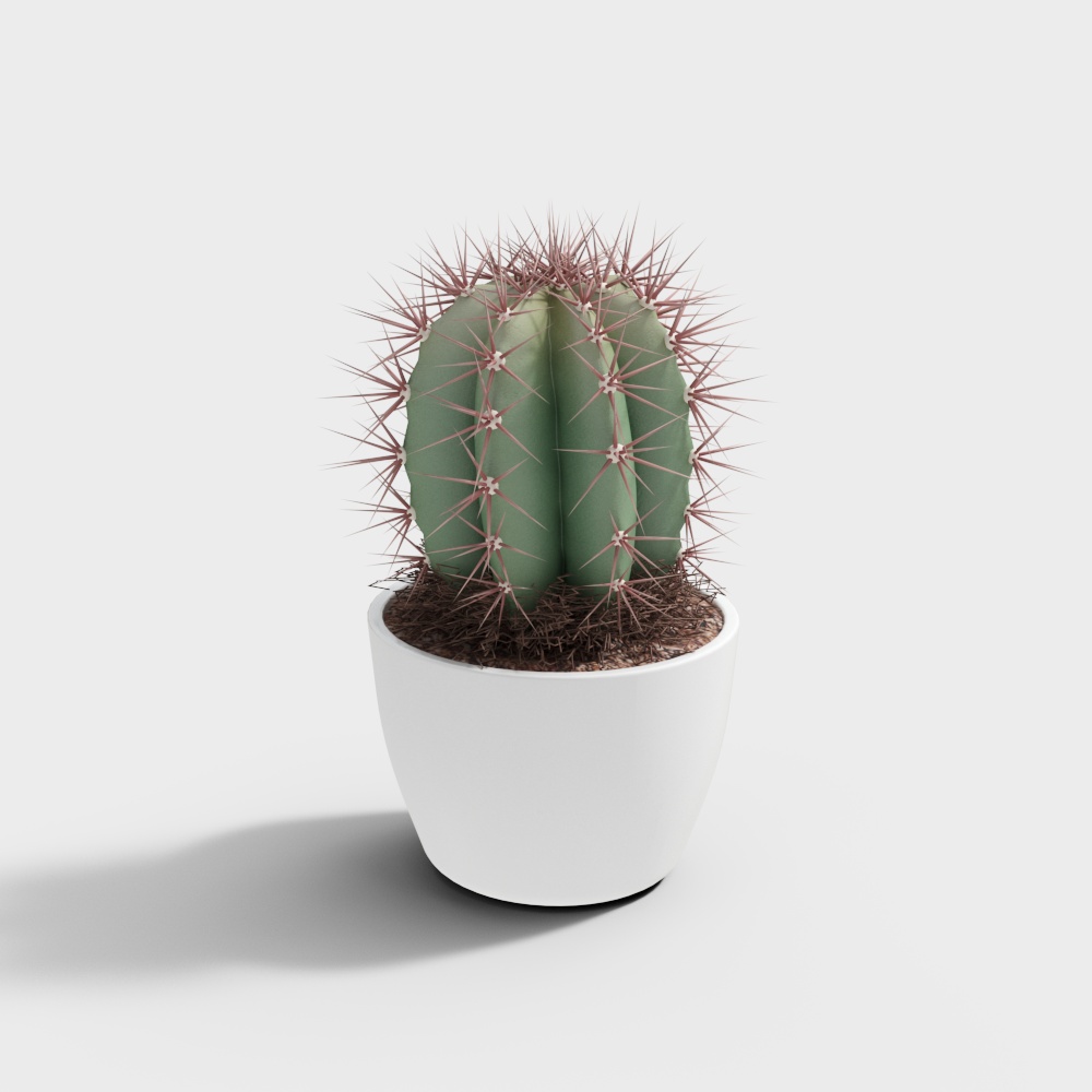 plante en pot moderne 26-7