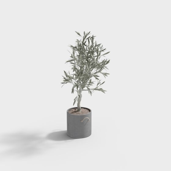 Realistic 3D Olive Tree Model for Creative Projects