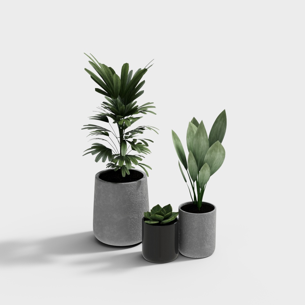 การรวมเป็นหนึ่งของไม้บอนไซในกระถางที่ทันสมัย