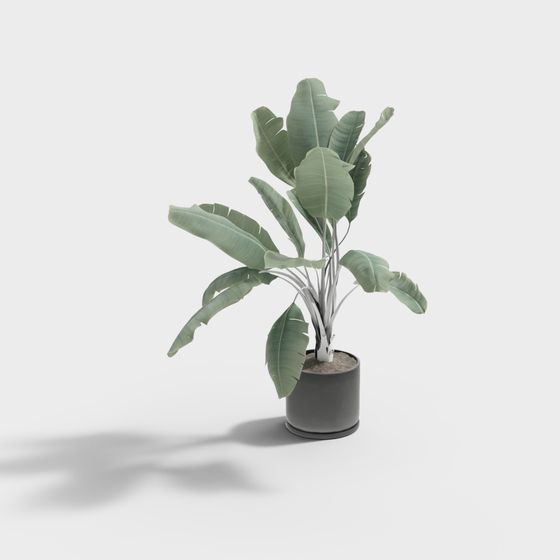 Tropical Green Plant 3D model for Creative Projects