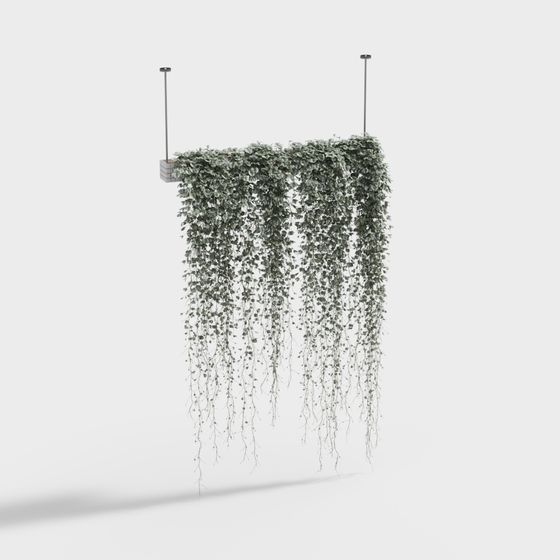 Hanging Plant Wall 3D model
