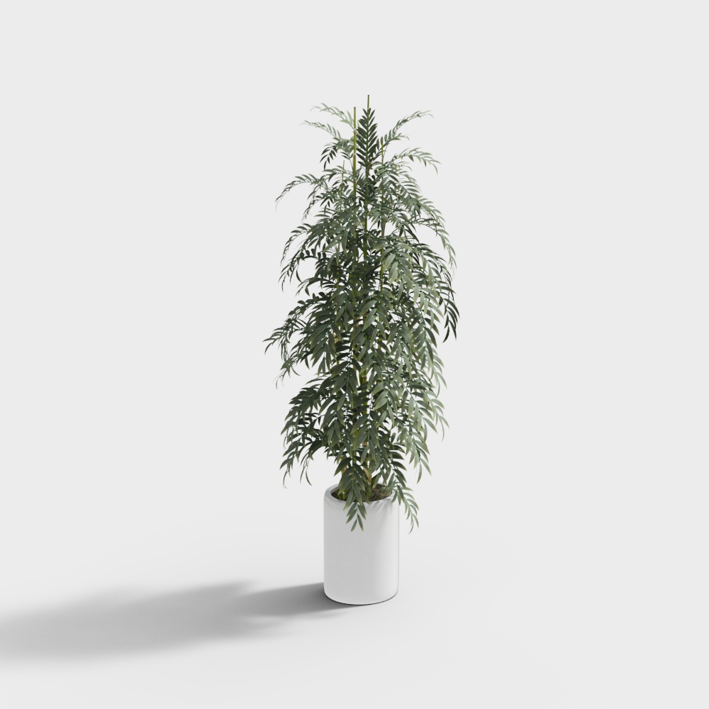 Vibrant Indoor Plant 3D Model – Low-Poly Natural Decor