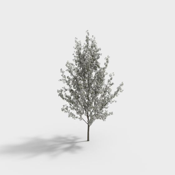 Realistic Low-Poly Tree 3D Model