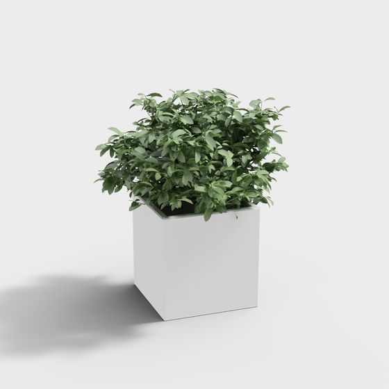 City Oasis 3D Model for Designers and Developers