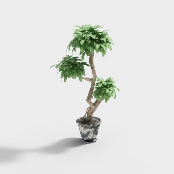 Nhà hàng lẩu công nghiệp LOFT 2 - Đồ trang trí thực vật