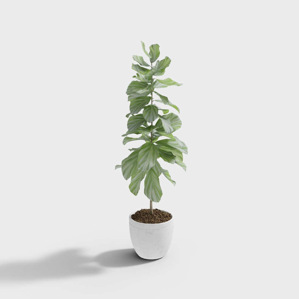 CB-257292 Plant ornaments-1