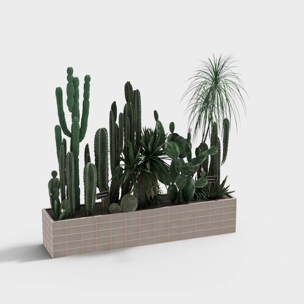 Cactus Oasis 3D Model – Low-Poly Desert Plants