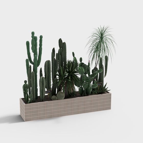 Cactus Oasis 3D model