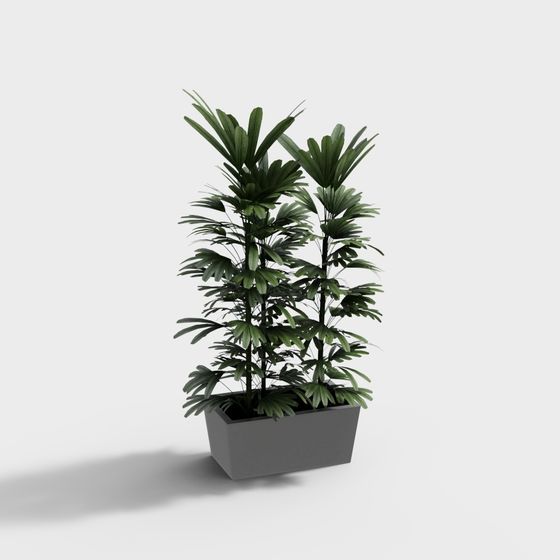 Tropical Plant 3D model for Creative Projects