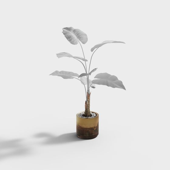 Lively Tropical Indoor Plant 3D Model for Creative Projects